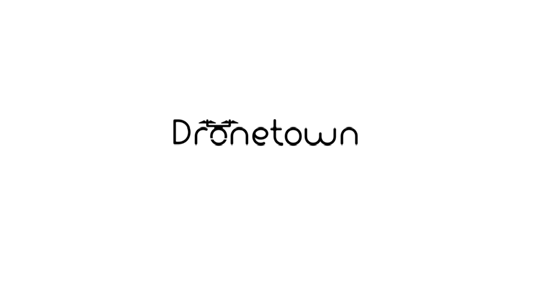 Drone Town: Drone Town